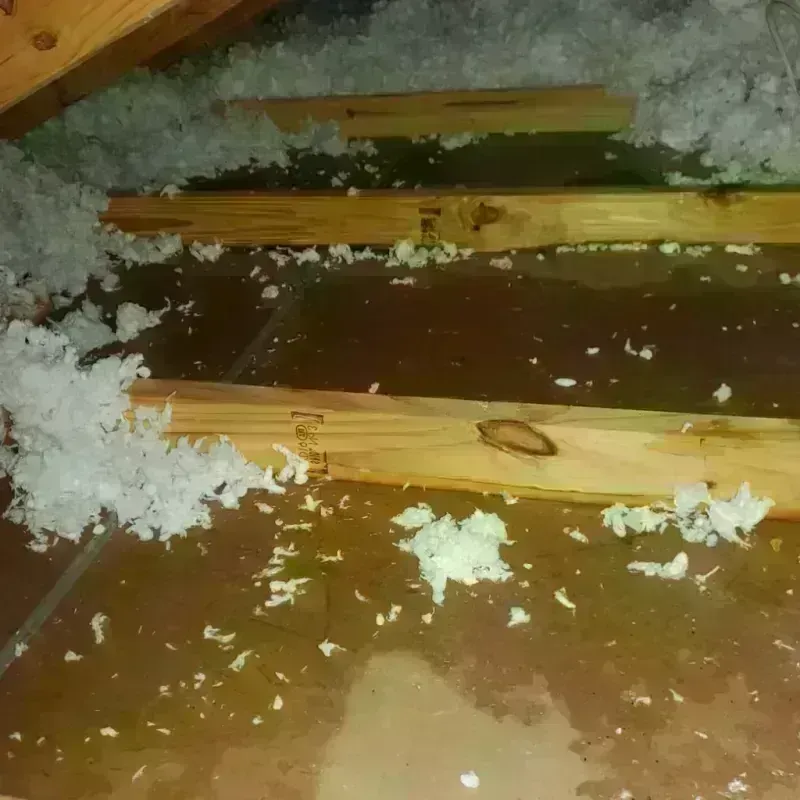 Attic Water Damage in Woodland, CA