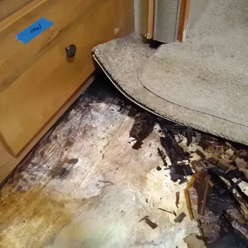 Wood Floor Water Damage in Woodland, CA